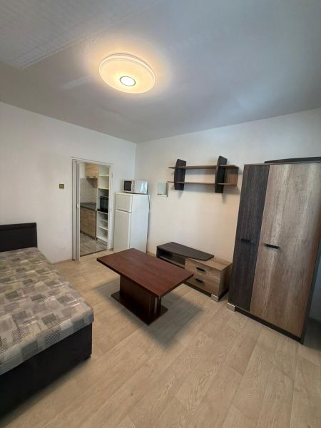Studio apartment with furniture and wood-patterned flooring, light walls, and simple furnishings.