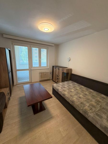 Studio apartment with a bed, coffee table, wardrobe, and floor with a wooden decor.