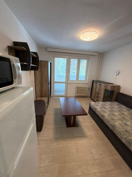 Studio apartment with wood-patterned flooring, sofa, table, furniture, and a window with a radiator.