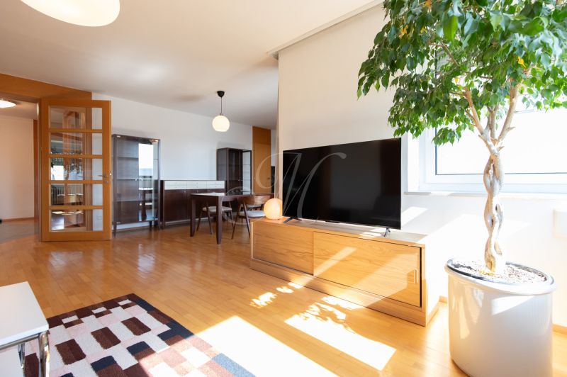 Living room in a 4-room apartment with a wooden decor floor and a houseplant.