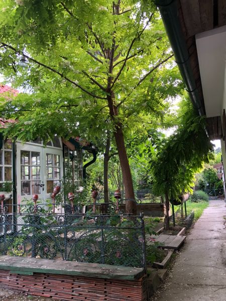 A family house in Majcichov, Majcichov Street, surrounded by a lush garden and green vegetation.