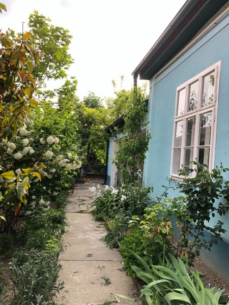 A family house on a street in Majcichov with a blue facade and a garden path.