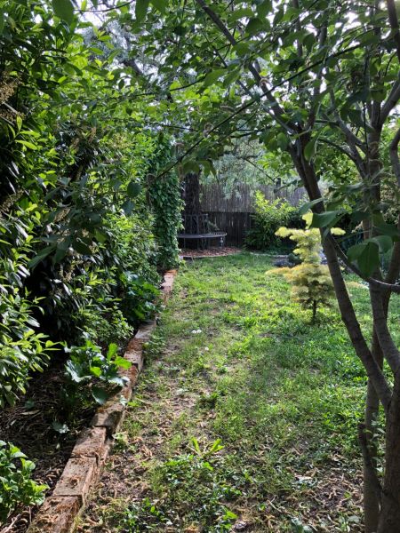 The garden of a family house in Majcichov with lush greenery and a bench at the end.