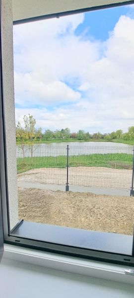 The view from a family house in Selice of an overgrown water surface and a fence.