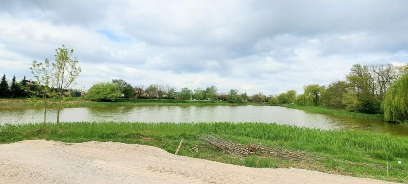 The lake with surrounding greenery in the town of Selice provides a pleasant environment for the family house.