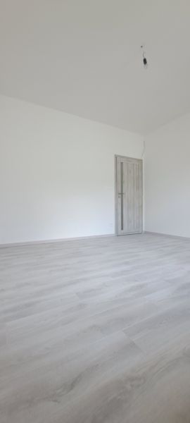 An empty room with wood-patterned flooring and closed doors in a family house.