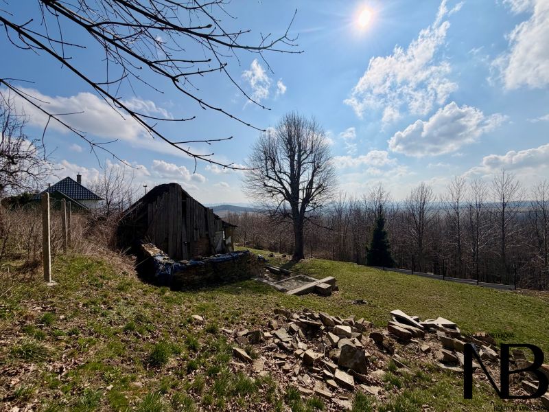 Residential plots in Lubina capture the natural landscape with an old building and trees.