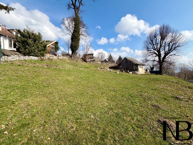 Lands - housing in the village of Lubina on Lubina Street, with trees and grassy area.