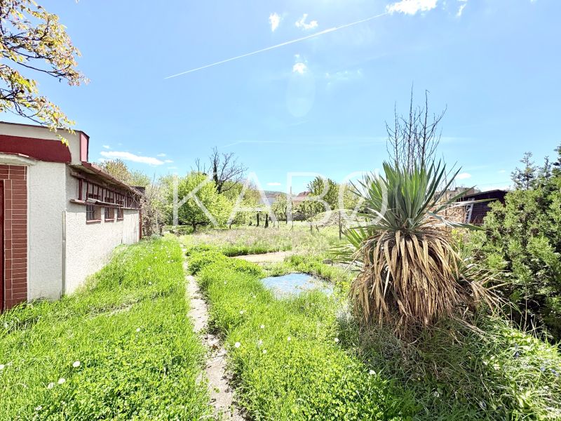 The garden of the family house on Puškinova Street in Partizánske with a lawn and shrubs.