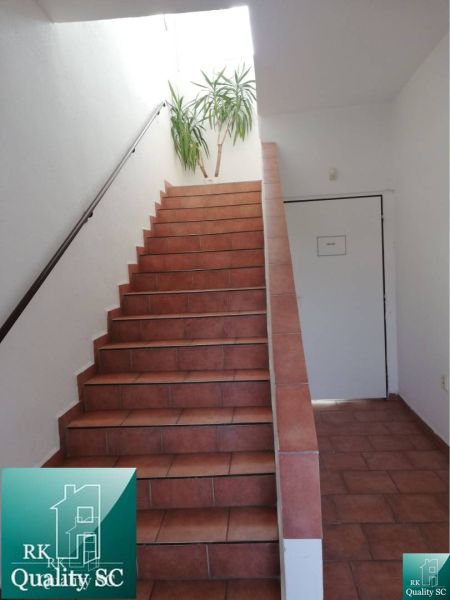 The interior of a family house with red stairs, white walls, and a plant.