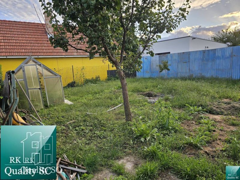 The garden of a family house in Turany with trees, a greenhouse, and a yellow fence.