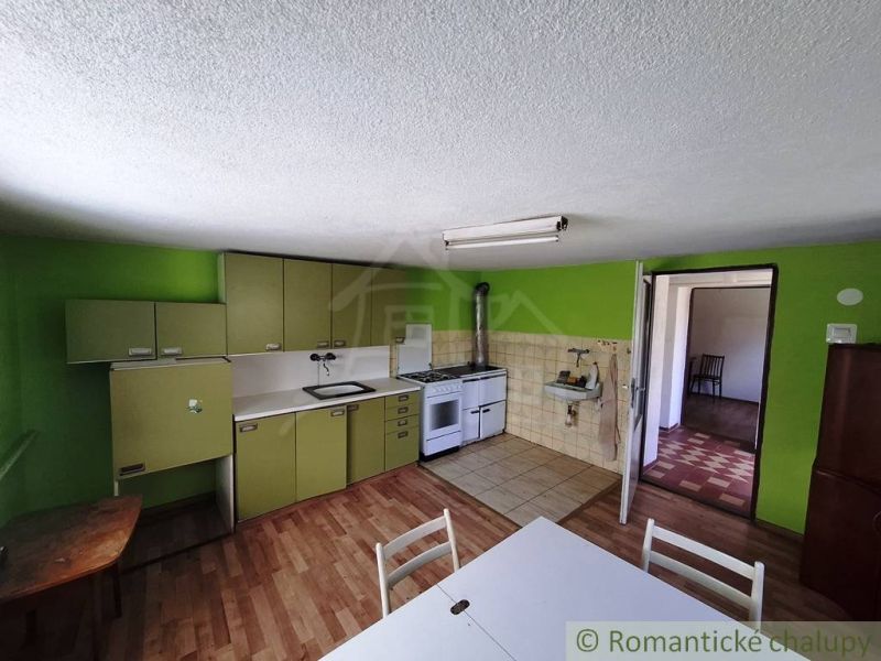 A kitchen in a family house with a wood-patterned floor and green cabinets.