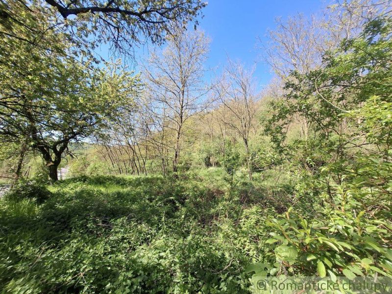 Greenery and trees in Šiatorská Bukovinka, an ideal place for residential plots.
