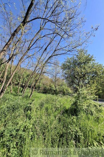 Greenery and trees in Šiatorská Bukovinka, ideal for residential land.