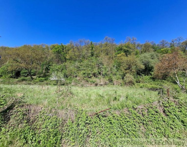Greenery covering residential plots in Šiatorská Bukovinka, surrounded by forest and blue sky.