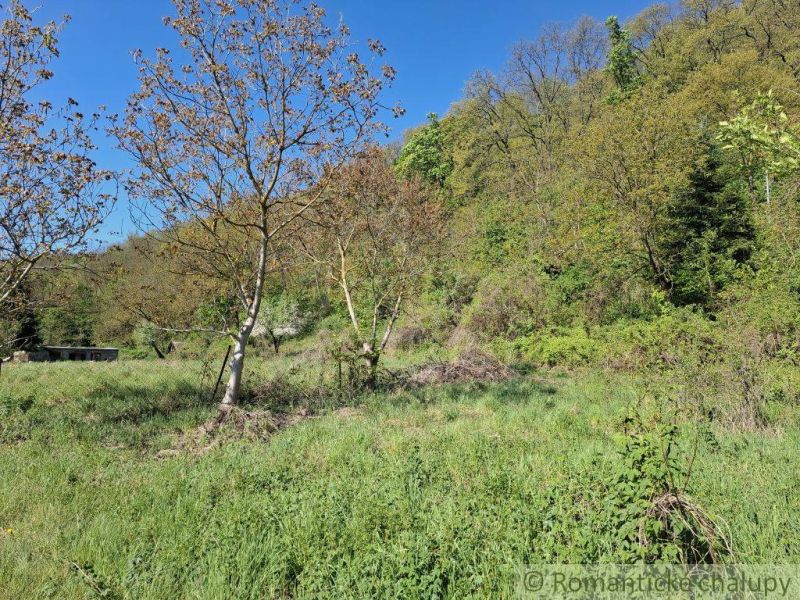 Plots - living in Šiatorská Bukovinka, surrounded by trees and lush greenery.
