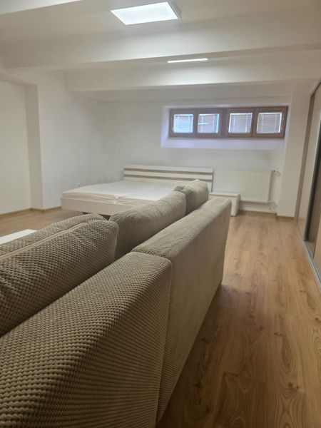 Interior of a 1-room apartment with a sofa, bed, and wooden decor flooring.