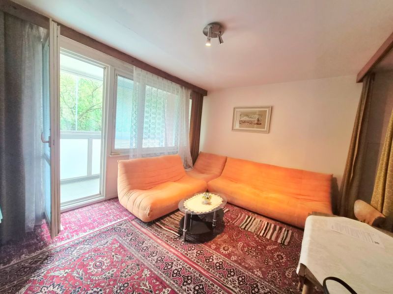 Living room in a two-room apartment with a carpet and an orange sofa.