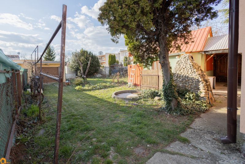The garden of a family house on Mlynska Street in Piešťany with a lawn and trees.