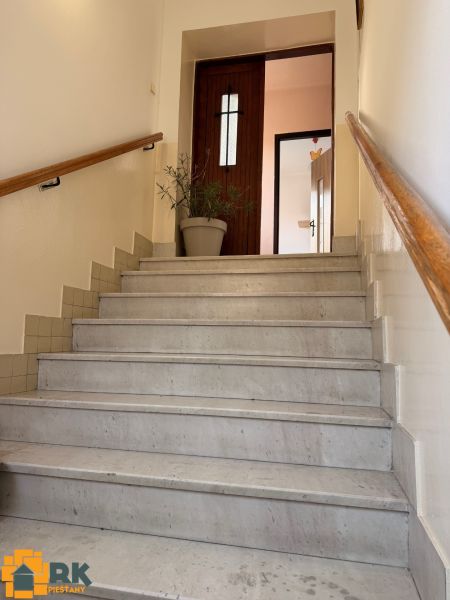 Staircase in a family house with tiled walls and a plant by the wooden door.