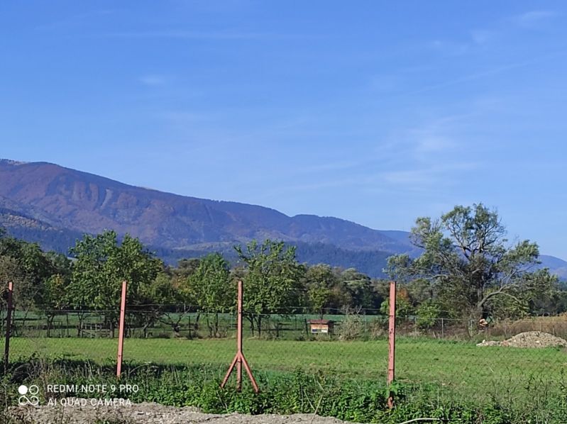Mountain scenery with a view of the land - housing in Príbovce surrounded by green trees.