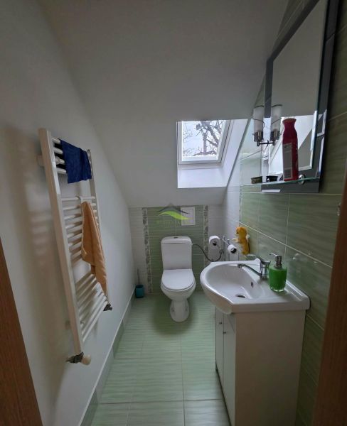 A bathroom in a family house with a skylight and green tiles.