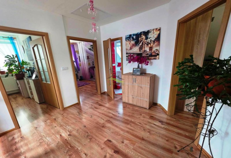 Interior of a family house with a wooden floor design and houseplants.
