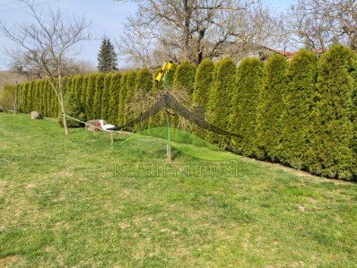 The garden of a family house in Klokočov with a well-maintained lawn and a hedge.