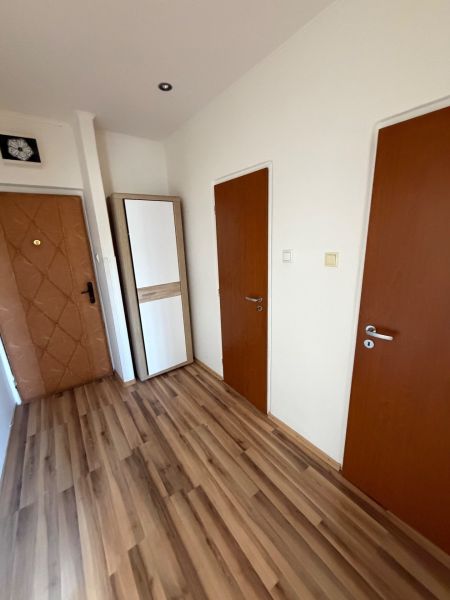 A hallway in a one-room apartment with a wooden decor floor and a wardrobe.