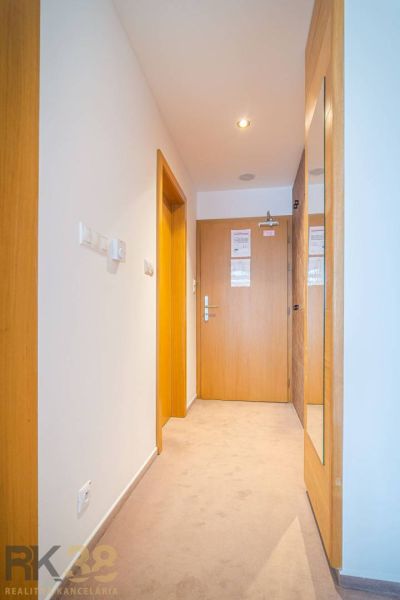 A hallway of a recreational apartment with wooden elements and carpet.