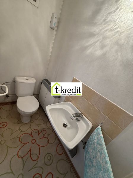 Bathroom in a family house with a toilet, sink, and carpet decor.