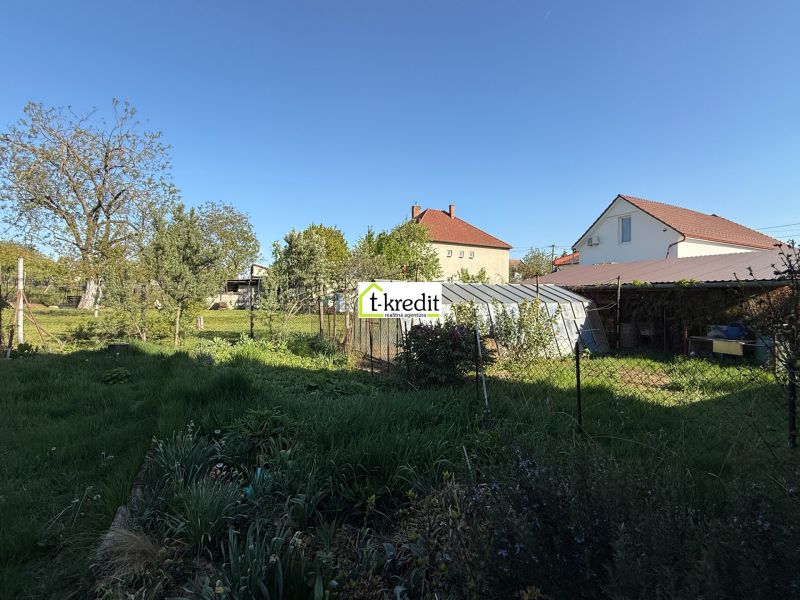 The garden of a family house in Zlaté Moravce full of greenery and trees.