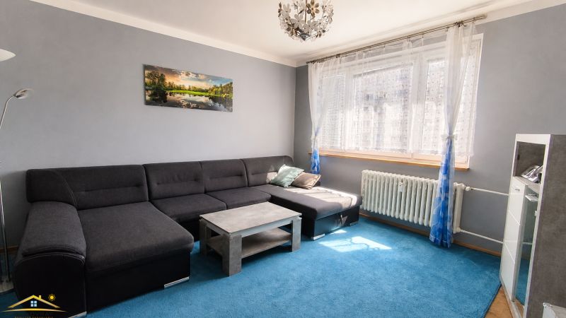 Living room in a three-room apartment with a dark sofa on a blue carpet.