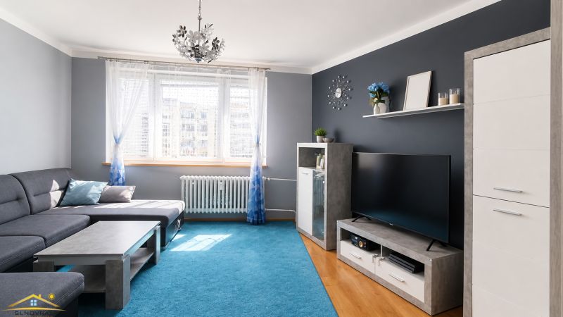 Living room in a 3-room apartment with a wooden decor floor and a blue carpet.