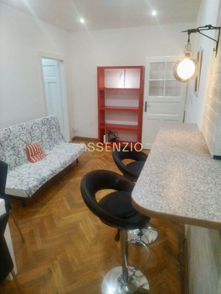 Living room with a bar counter, sofa, and shelves in a two-room apartment with a wooden decor floor.