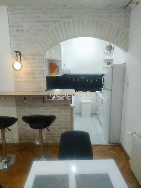 Kitchen corner with a bar, brick arch, wooden decor flooring, 2-room apartment.