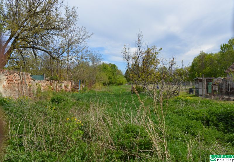 The garden of a family house in Horné Saliby with grass, trees, and an old brick fence.