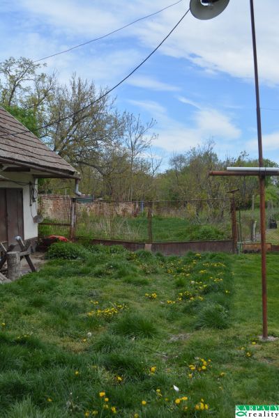 A family house in Horné Saliby with a lawn and a garden, surrounded by a fence.