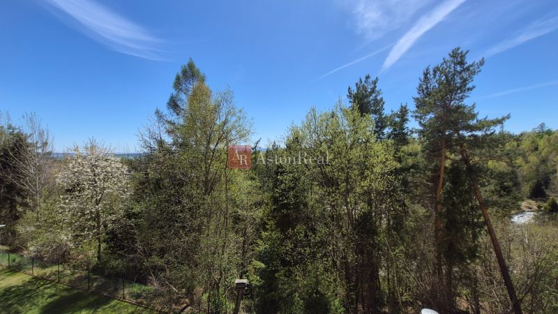 A forest stand with a view of treetops and a blue sky in Stará Lesná.