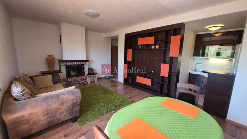 A recreational apartment with a wooden decor floor, fireplace, and kitchenette, cozy interior.