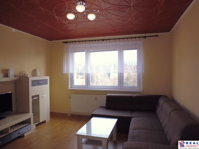 Living room in a two-room apartment with a brown ceiling and a wooden decor floor.