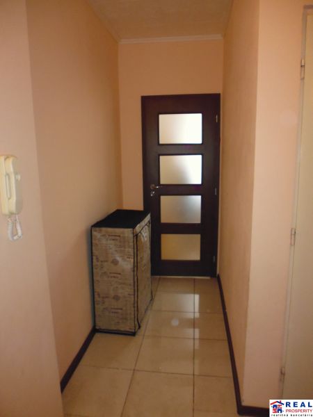 A hallway in a 2-room apartment with dark doors and a light floor.