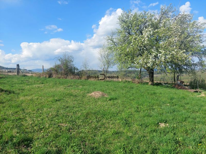 Greenery and blossoming trees in Budiná on plots designated for housing.