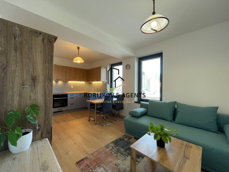 Living room with kitchen, wooden decor flooring, green sofa, 2-room apartment.