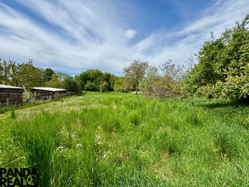 A large green garden with grass and trees in Hajná Nová Ves.