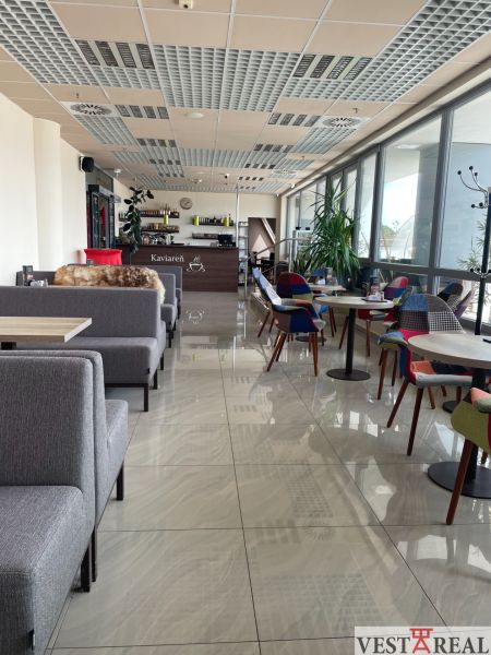 A modern café interior with comfortable seating and large windows.