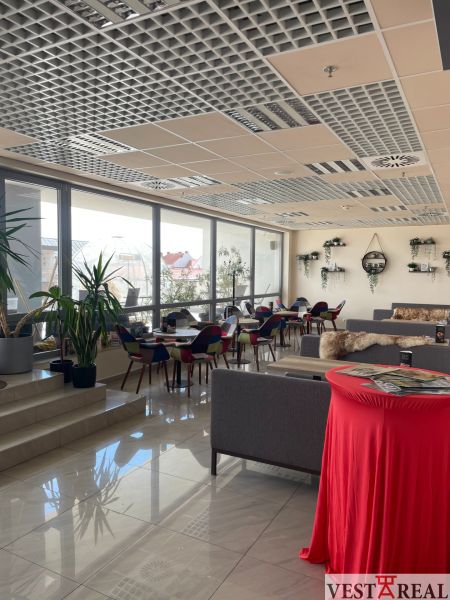 Interior of dining spaces with flowers, colorful chairs, and sofas on a floor with decor.