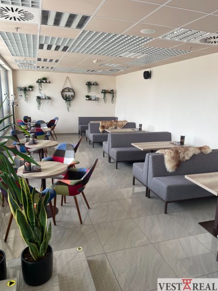 Interior of a gastro space with modern gray sofas, colorful chairs, and decorative plants.