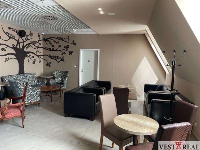 Gastro premises with tree decoration on the wall, armchairs and chairs, floor with wooden decor.