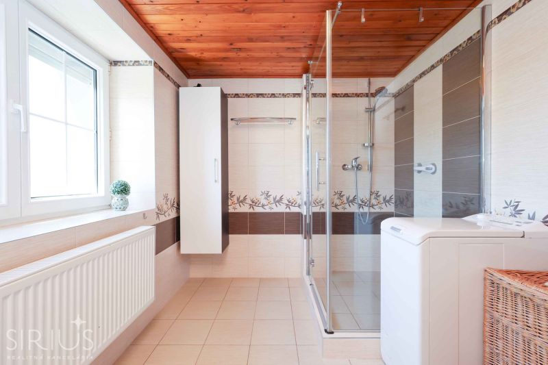 A bathroom in a family house with a shower and a wooden ceiling.